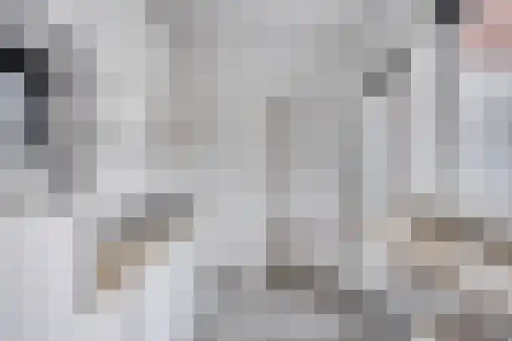 Zonneroosstraat 31 Eindhoven thumbnail 14