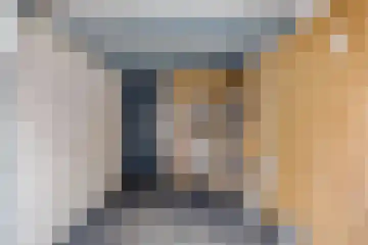 Zonneroosstraat 31 Eindhoven thumbnail 17