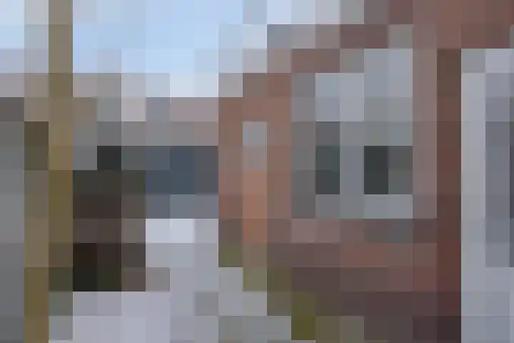Zonneroosstraat 31 Eindhoven thumbnail 18
