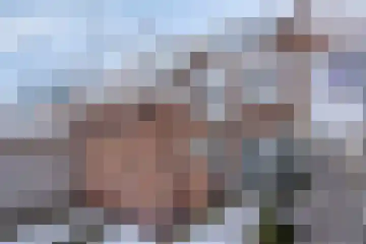 Zonneroosstraat 31 Eindhoven thumbnail 20