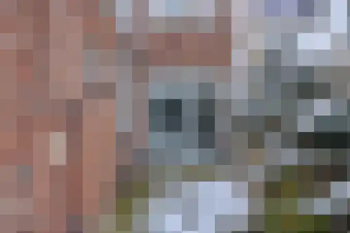 Zonneroosstraat 31 Eindhoven thumbnail 21