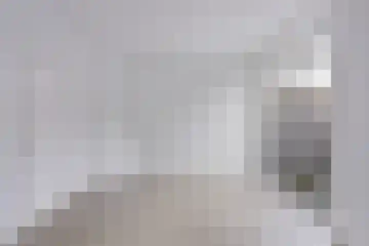 Zonneroosstraat 31 Eindhoven thumbnail 8