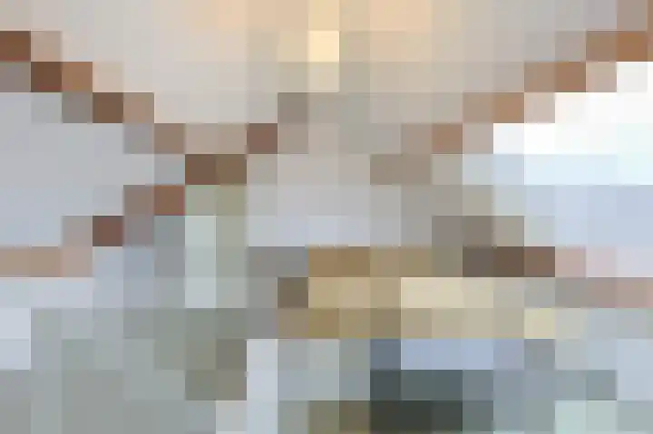 Zonneroosstraat 34 Eindhoven thumbnail 13