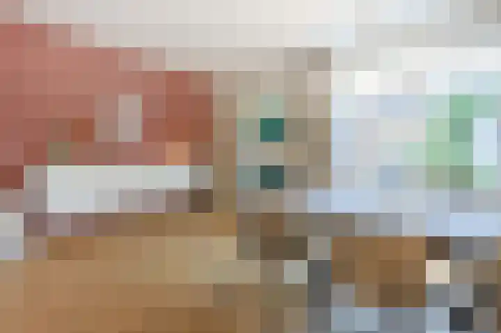 Zonneroosstraat 34 Eindhoven thumbnail 14