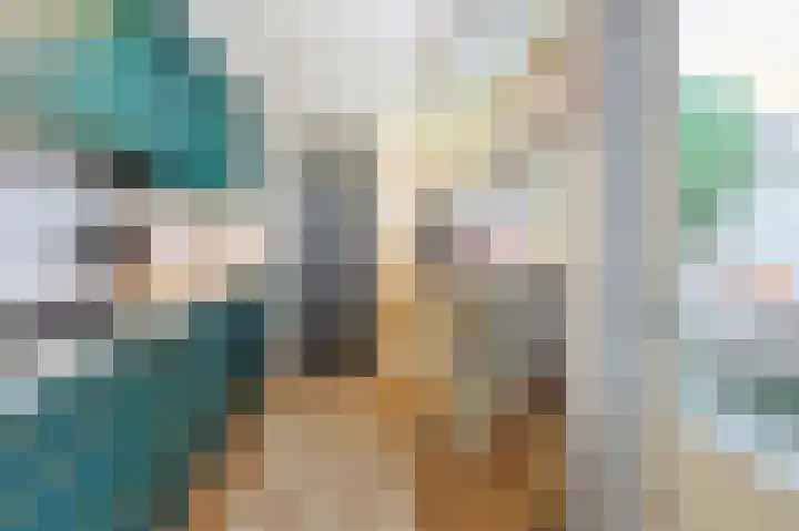 Zonneroosstraat 34 Eindhoven thumbnail 19