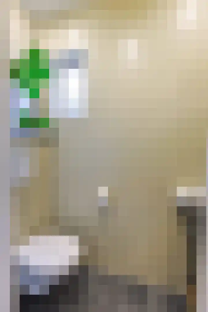 Zonneroosstraat 34 Eindhoven thumbnail 24