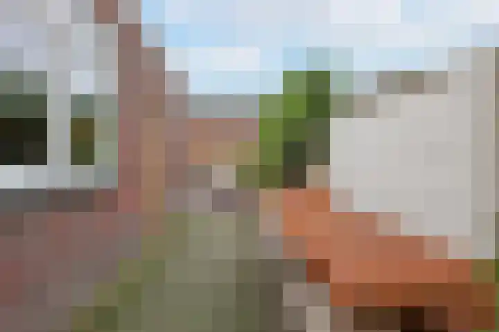Zonneroosstraat 34 Eindhoven thumbnail 25