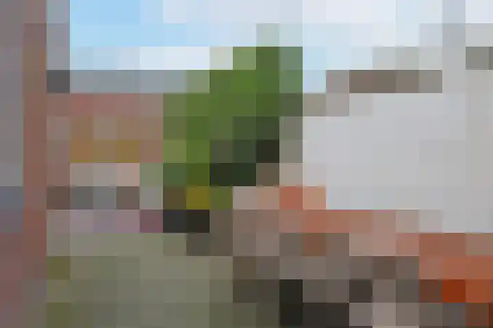 Zonneroosstraat 34 Eindhoven thumbnail 26