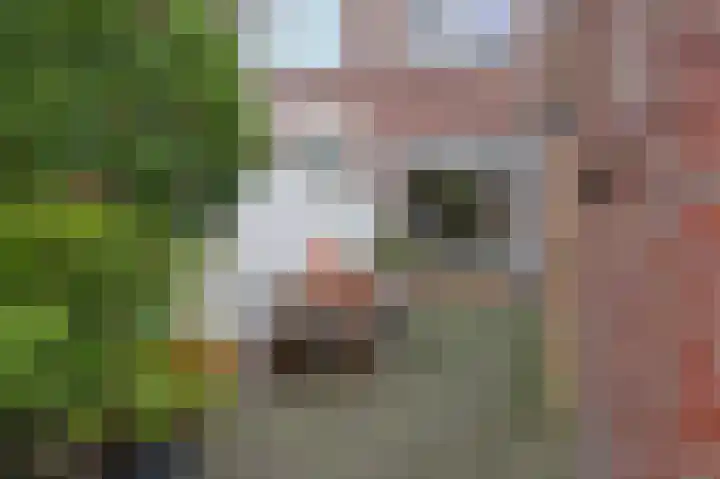 Zonneroosstraat 34 Eindhoven thumbnail 27