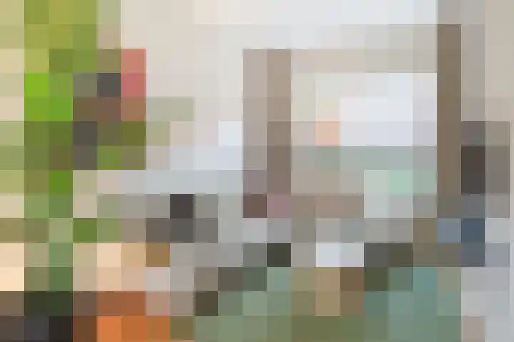 Zonneroosstraat 34 Eindhoven thumbnail 8