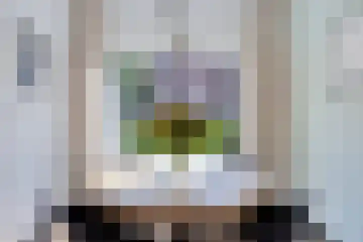 Zonneroosstraat 44 Eindhoven thumbnail 13