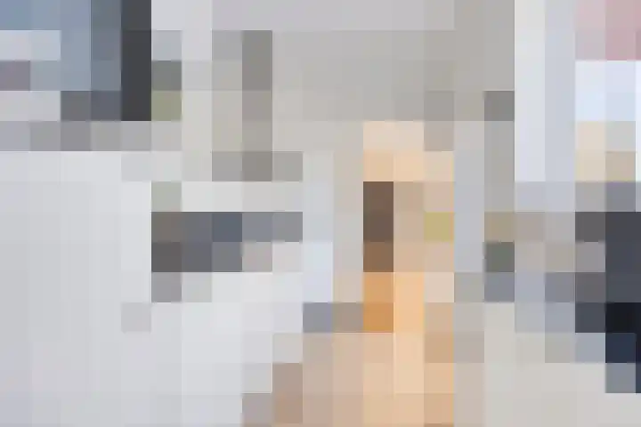 Zonneroosstraat 44 Eindhoven thumbnail 14