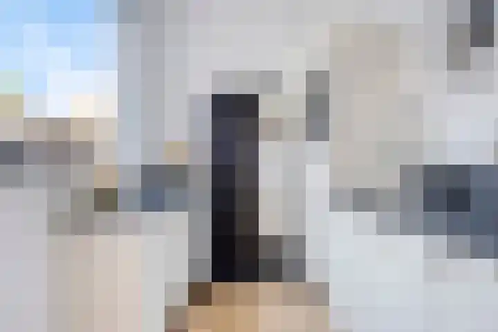 Zonneroosstraat 44 Eindhoven thumbnail 15