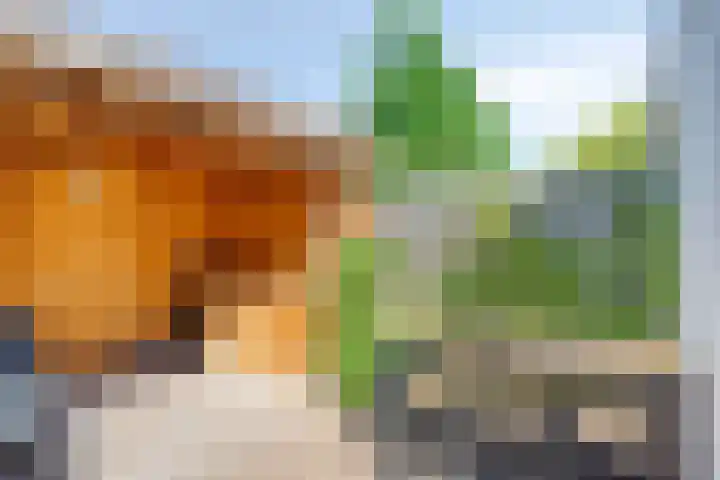 Zonneroosstraat 44 Eindhoven thumbnail 30