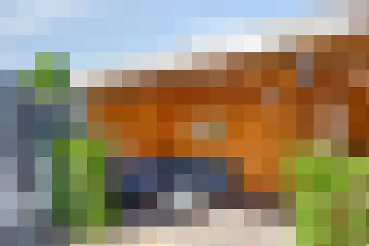 Zonneroosstraat 44 Eindhoven thumbnail 31