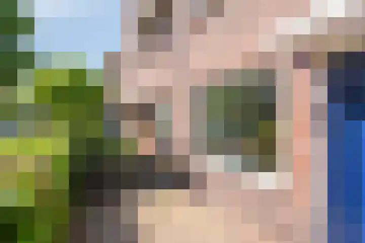 Zonneroosstraat 44 Eindhoven thumbnail 6