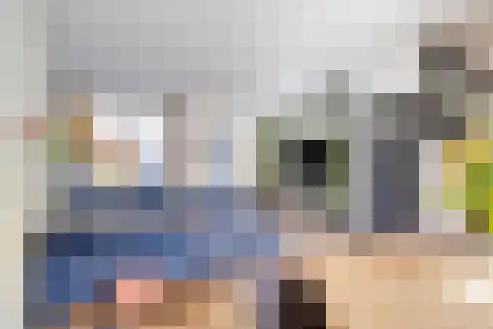 Zonneroosstraat 44 Eindhoven thumbnail 9