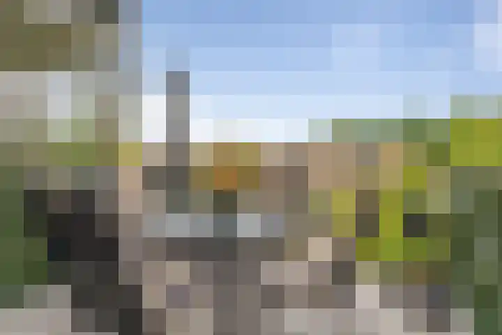 Zonnestad 123 Etten-Leur thumbnail 15