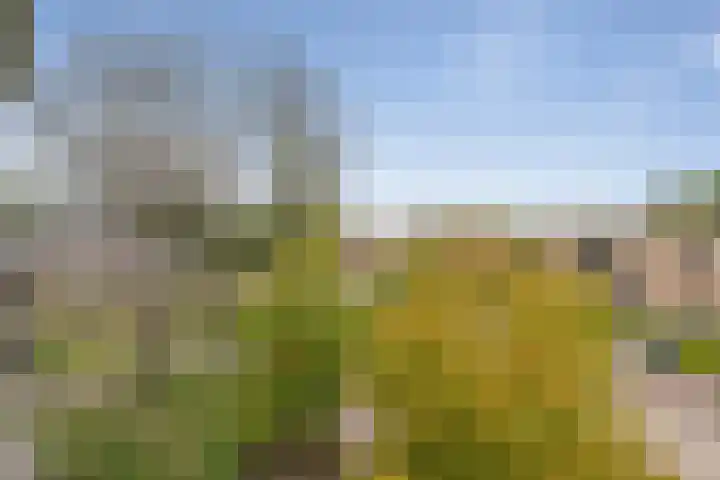 Zonnestad 123 Etten-Leur thumbnail 17