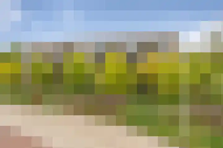 Zonnestad 123 Etten-Leur thumbnail 29