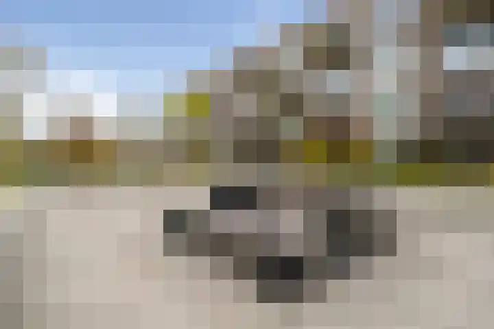 Zonnestad 123 Etten-Leur thumbnail 32