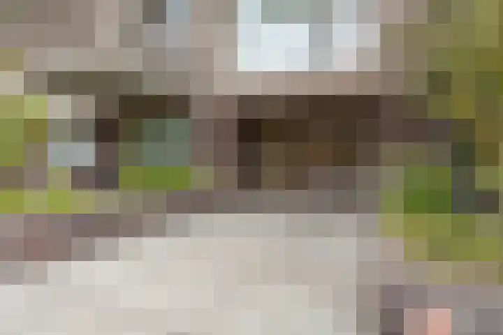 Zonnestad 123 Etten-Leur thumbnail 33
