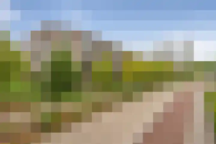 Zonnestad 123 Etten-Leur thumbnail 5