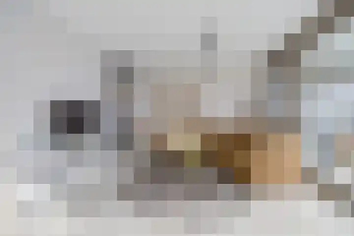 Zonnestad 77 Etten-Leur foto 2
