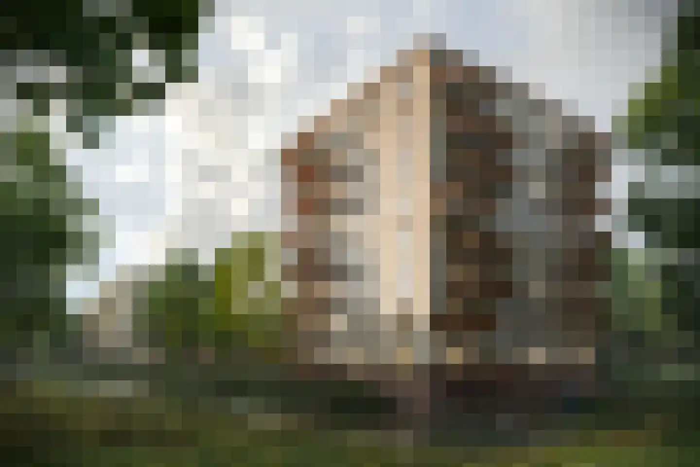 Zonnesteen 121 Hoorn thumbnail 4