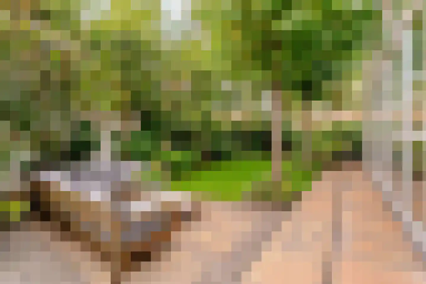 Zonnestein 1 Amstelveen thumbnail 5