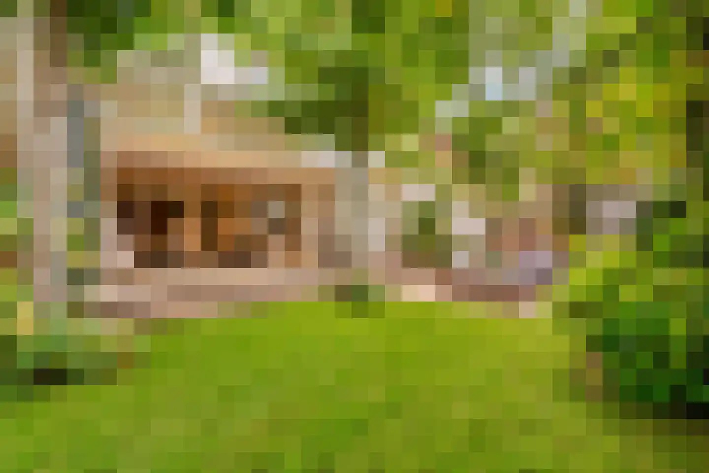 Zonnestein 1 Amstelveen thumbnail 6