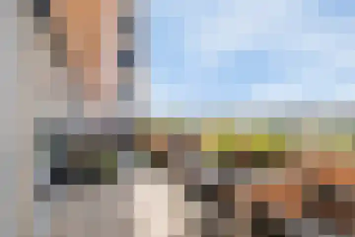 Zonnestein 304 Zwijndrecht thumbnail 33