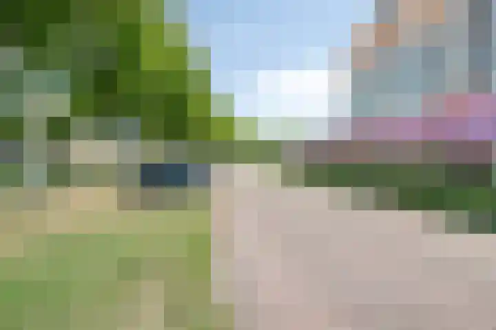 Zonnestein 304 Zwijndrecht thumbnail 37