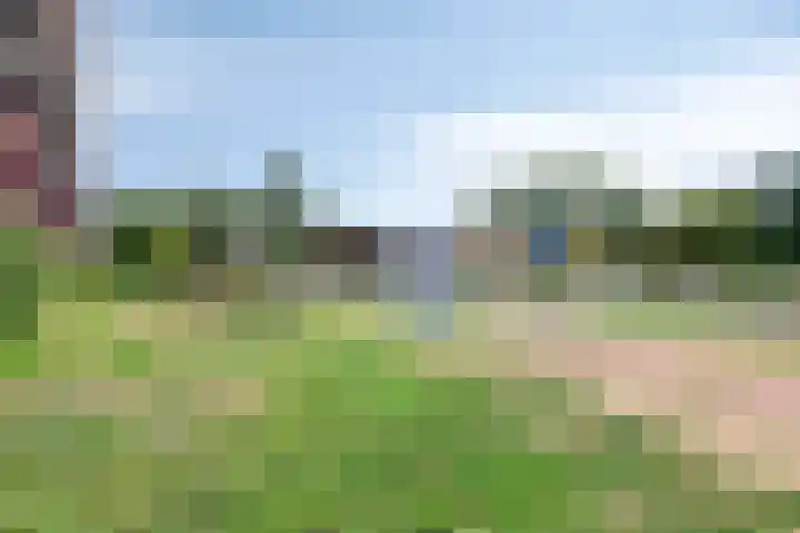 Zonnestein 304 Zwijndrecht thumbnail 39