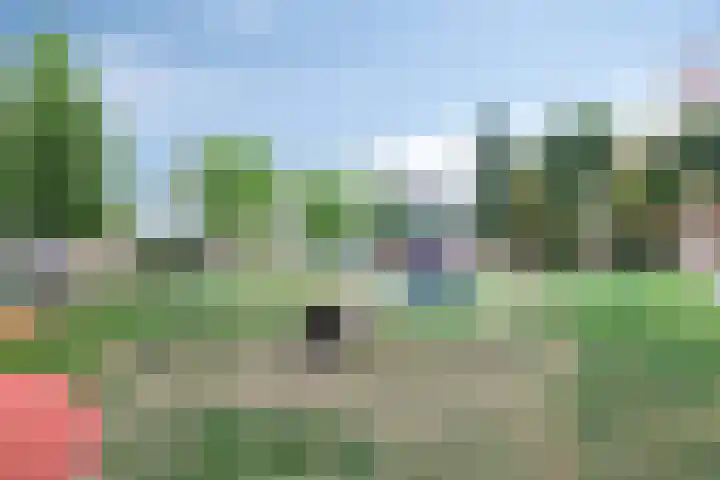 Zonnestein 304 Zwijndrecht thumbnail 40