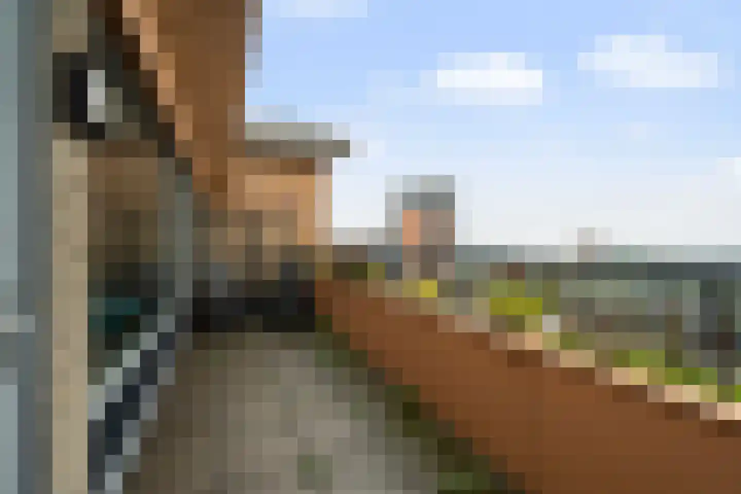 Zonnestein 311 Zwijndrecht thumbnail 32