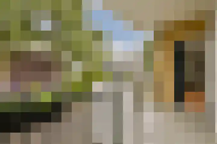 Zonnestein 71 Amstelveen thumbnail 13