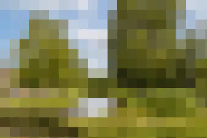 Zonnestein 71 Amstelveen thumbnail 21