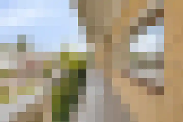 Zonnestein 89 Amstelveen thumbnail 21