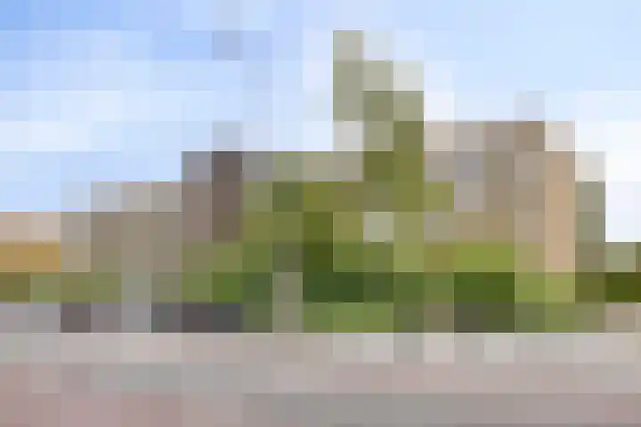 Zonnestein 89 Amstelveen thumbnail 23