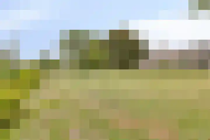 Zonnestein 89 Amstelveen thumbnail 25