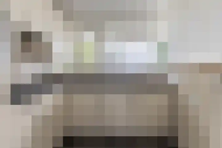 Zonnesteinhof 21 Amstelveen thumbnail 20