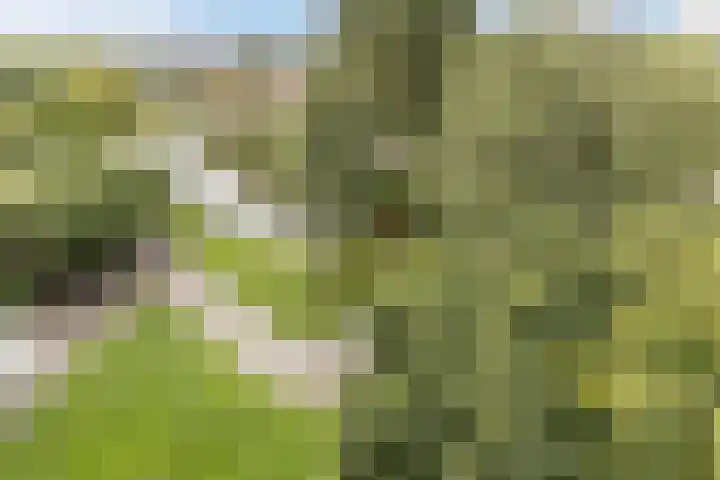 Zonnesteinhof 21 Amstelveen thumbnail 6