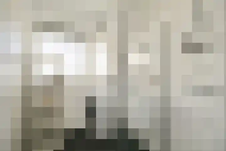 Zonnesteinhof 25 Amstelveen thumbnail 12