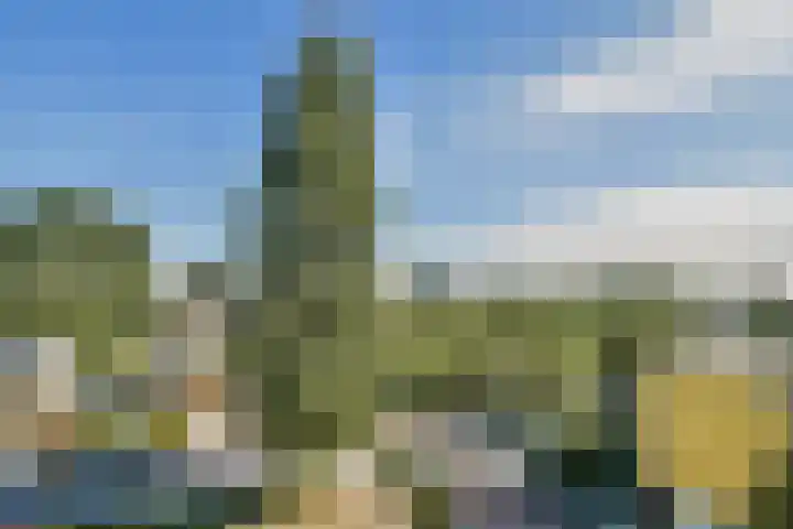 Zonnesteinhof 25 Amstelveen thumbnail 20