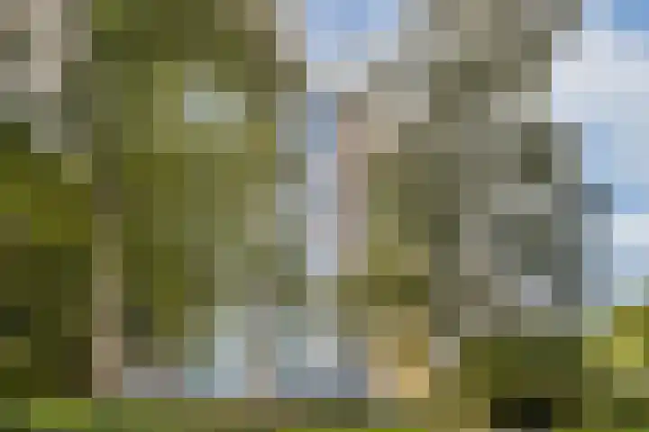 Zonnesteinhof 25 Amstelveen thumbnail 23