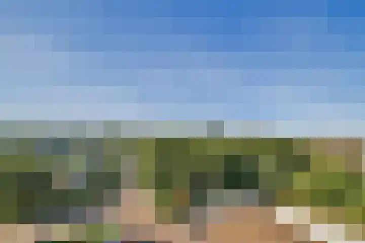 Zonnesteinhof 25 Amstelveen thumbnail 5