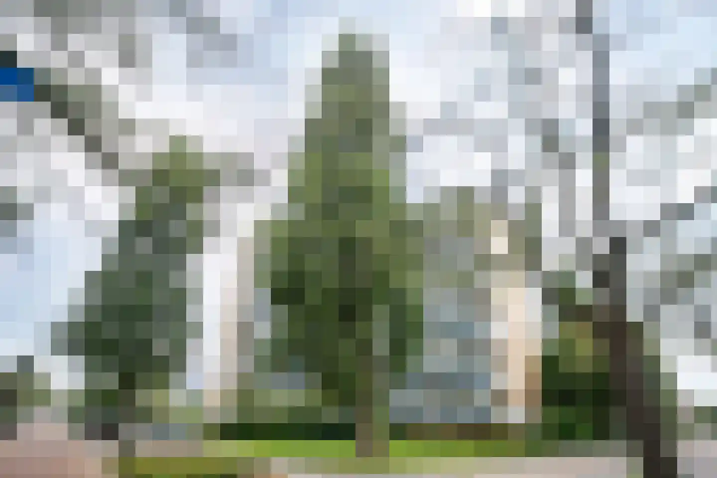 Zonnesteinhof 31 Amstelveen thumbnail 34