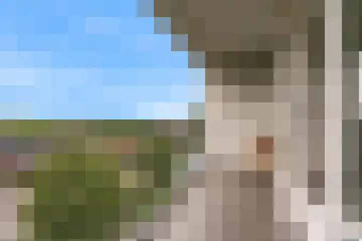 Zonnesteinhof 32 Amstelveen thumbnail 19
