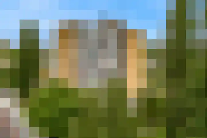 Zonnesteinhof 32 Amstelveen thumbnail 28